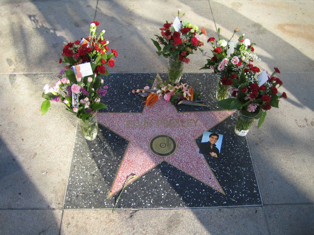 Elvis Presleys star. Today (1/8) would be his birthday.