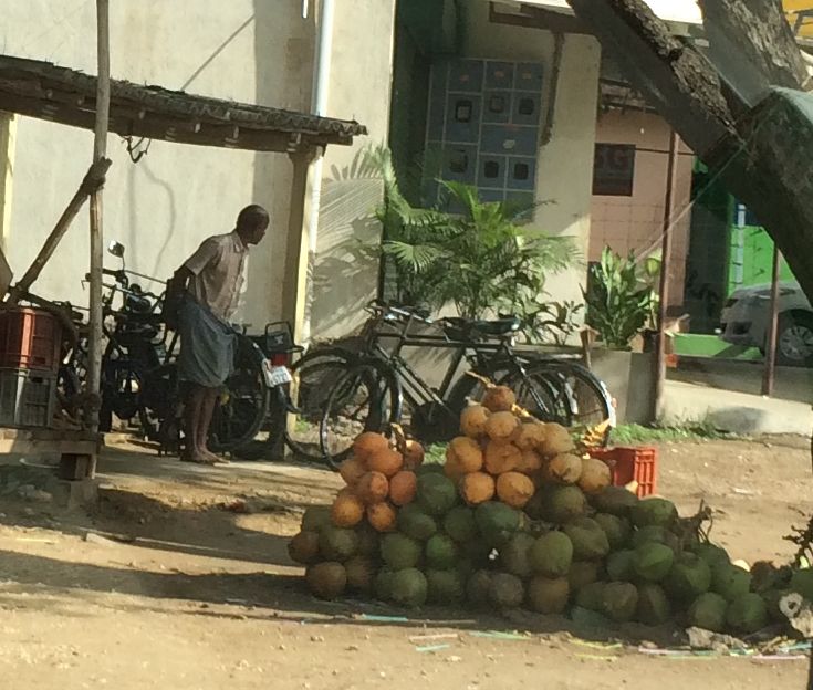 Kokosnüsse am Straßenrand